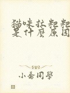 猫咪拉粑粑有血是什么原因封面