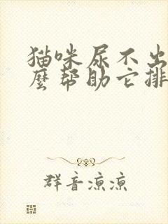 猫咪尿不出来怎么帮助它排尿封面