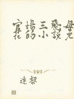 官场三飞母姐妹花的小说免费阅读