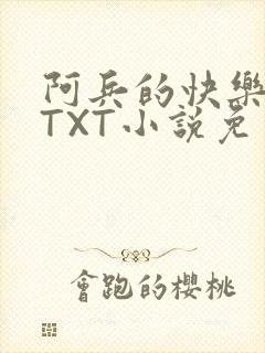 阿兵的快乐生活TXT小说免费阅读全章