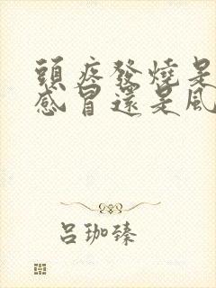 头疼发烧是风热感冒还是风寒感冒