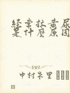 经常拉黄尿又臭是什么原因