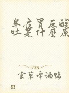 半夜胃反酸水想吐是什么原因封面