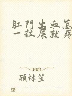 肛门出血怎么办一拉屎就疼