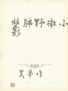 双肺野微小结节影