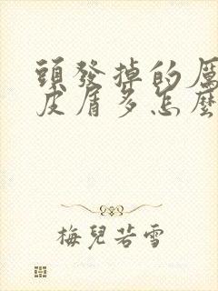 头发掉的厉害头皮屑多怎么办