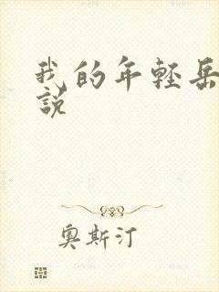 我的年轻岳母小说封面