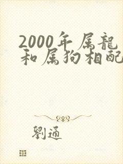 2000年属龙和属狗相配吗