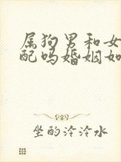 属狗男和女鼠相配吗婚姻如何