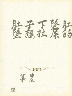 肚子下坠肛门下坠想拉屎的感觉是什么原因