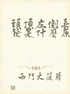 头顶左侧长白头发是什么原因