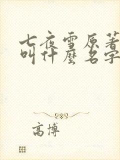 七夜雪原著小说叫什么名字啊