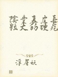 阴囊表皮长个米粒大的硬疙瘩封面