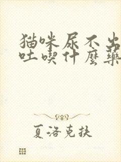 猫咪尿不出尿呕吐吃什么药