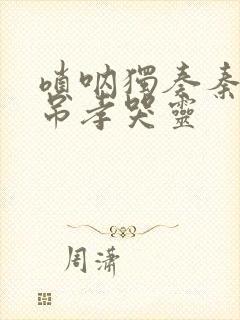 唢呐独奏秦雪梅吊孝哭灵