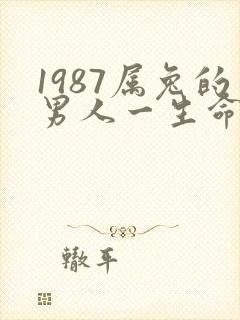 1987属兔的男人一生命运如何