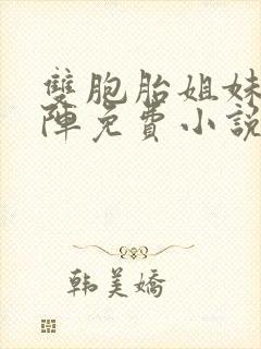 双胞胎姐妹齐上阵免费小说封面