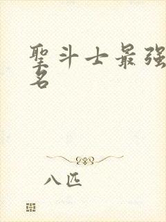 圣斗士最强第一名