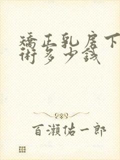 矫正乳房下垂手术多少钱