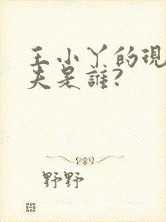 王小丫的现任丈夫是谁?