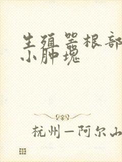 生殖器根部有个小肿块