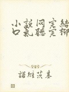 小说网完结文一口气听完柳如烟