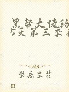 黑帮大佬的365天第三季在线观看