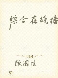 综合在线播放91