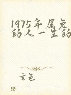 1975年属兔的人一生的命运怎么样