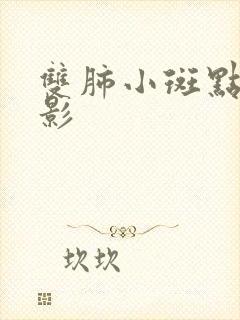 双肺小斑点结节影