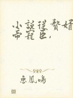 小说从赘婿到女帝宠臣,