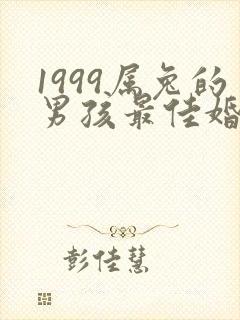 1999属兔的男孩最佳婚配是什么封面