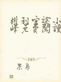 权利官途小说秦峰免费阅读