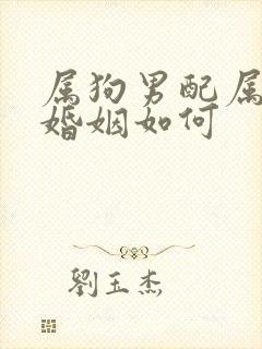 属狗男配属兔女婚姻如何