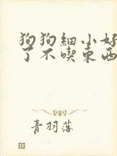 狗狗细小好几天了不吃东西怎么办