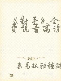 《对手》全集免费观看高清完整版封面