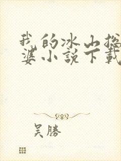 我的冰山总裁老婆小说下载