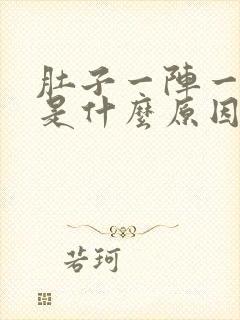 肚子一阵一阵痛是什么原因