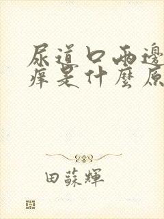 尿道口两边的肉痒是什么原因