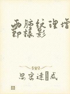 两肺纹理增多结节样影