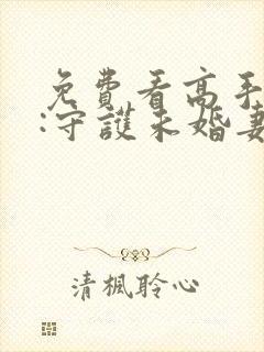 免费看高手下山:守护未婚妻封面