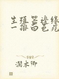 生殖器边缘面有一排白色疙瘩