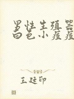 男性生殖器上有白色小痘痘