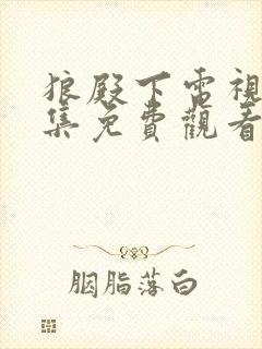 狼殿下电视剧全集免费观看