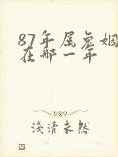 87年属兔姻缘在哪一年