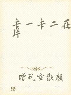 卡一卡二在线看片