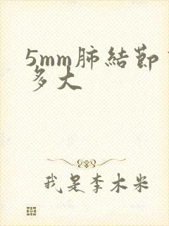 5mm肺结节有多大