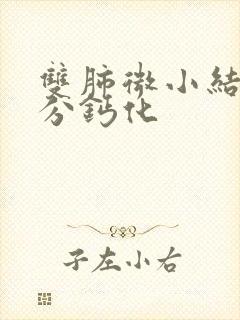 双肺微小结节部分钙化