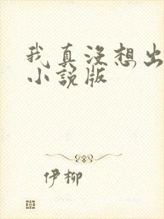 我真没想出名啊小说版