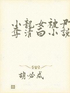 小龙女被尹志平夺清白小说封面